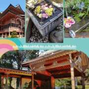 ヒメ日記 2025/05/01 21:03 投稿 広瀬(ひろせ) 相模原人妻城