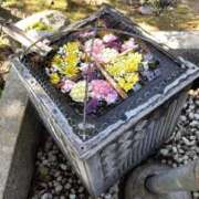 ヒメ日記 2025/05/25 16:12 投稿 広瀬(ひろせ) 相模原人妻城