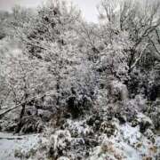 ヒメ日記 2026/02/08 18:27 投稿 広瀬(ひろせ) 相模原人妻城