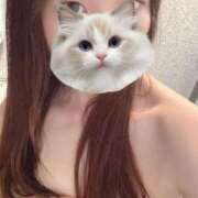 ヒメ日記 2025/04/24 09:24 投稿 ひばり【FG系列】 アロマdeフィーリングin横浜（FG系列）