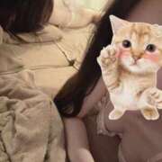 ヒメ日記 2025/05/01 13:13 投稿 ひばり【FG系列】 アロマdeフィーリングin横浜（FG系列）