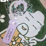 ヒメ日記 2024/12/09 20:34 投稿 花野いろは コウテイ