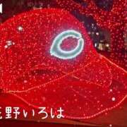 ヒメ日記 2024/12/11 20:05 投稿 花野いろは コウテイ