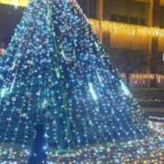 ヒメ日記 2024/12/24 21:45 投稿 花野いろは コウテイ