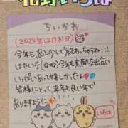 ヒメ日記 2024/12/31 22:55 投稿 花野いろは コウテイ