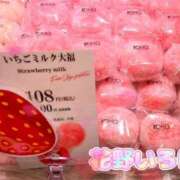 ヒメ日記 2025/01/29 16:25 投稿 花野いろは コウテイ