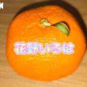 ヒメ日記 2025/01/29 20:10 投稿 花野いろは コウテイ