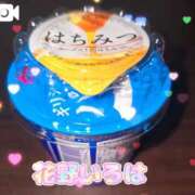 ヒメ日記 2025/02/02 15:29 投稿 花野いろは コウテイ