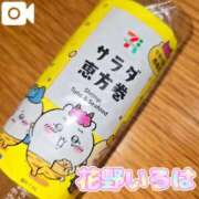 ヒメ日記 2025/02/03 17:51 投稿 花野いろは コウテイ