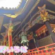 ヒメ日記 2025/02/17 11:45 投稿 花野いろは コウテイ