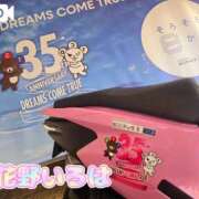 ヒメ日記 2025/02/19 14:45 投稿 花野いろは コウテイ