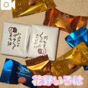 ヒメ日記 2025/03/03 18:58 投稿 花野いろは コウテイ