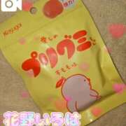 ヒメ日記 2025/03/09 15:25 投稿 花野いろは コウテイ