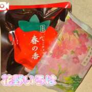 ヒメ日記 2025/03/13 16:33 投稿 花野いろは コウテイ