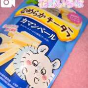 ヒメ日記 2025/03/21 14:15 投稿 花野いろは コウテイ