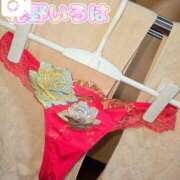 ヒメ日記 2025/04/04 13:43 投稿 花野いろは コウテイ