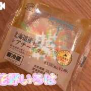 ヒメ日記 2025/04/09 15:35 投稿 花野いろは コウテイ