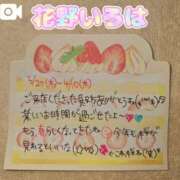 ヒメ日記 2025/04/11 09:19 投稿 花野いろは コウテイ