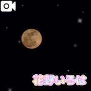 ヒメ日記 2025/04/13 20:15 投稿 花野いろは コウテイ