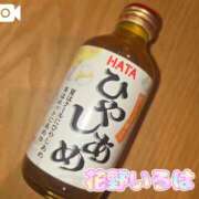 ヒメ日記 2025/04/22 17:15 投稿 花野いろは コウテイ