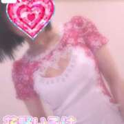 ヒメ日記 2025/04/26 09:20 投稿 花野いろは コウテイ