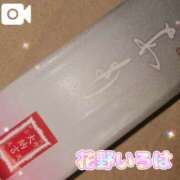 ヒメ日記 2025/04/27 15:31 投稿 花野いろは コウテイ