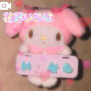 ヒメ日記 2025/05/01 13:01 投稿 花野いろは コウテイ