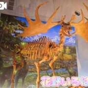 ヒメ日記 2025/05/03 15:35 投稿 花野いろは コウテイ