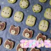 ヒメ日記 2025/05/03 17:11 投稿 花野いろは コウテイ