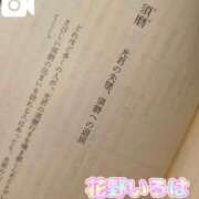 ヒメ日記 2025/05/04 10:55 投稿 花野いろは コウテイ