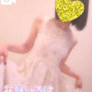 ヒメ日記 2025/05/11 09:17 投稿 花野いろは コウテイ