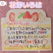 ヒメ日記 2025/05/12 09:17 投稿 花野いろは コウテイ