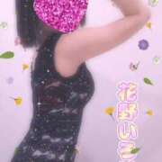 ヒメ日記 2025/05/25 09:16 投稿 花野いろは コウテイ