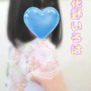 ヒメ日記 2025/05/26 09:19 投稿 花野いろは コウテイ