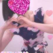 ヒメ日記 2025/05/31 09:20 投稿 花野いろは コウテイ