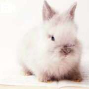 ヒメ日記 2025/06/25 07:15 投稿 花野いろは コウテイ