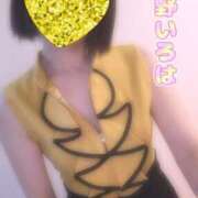 ヒメ日記 2025/06/29 09:18 投稿 花野いろは コウテイ