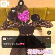 ヒメ日記 2025/07/03 15:47 投稿 花野いろは コウテイ