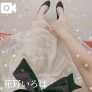 ヒメ日記 2025/07/04 09:25 投稿 花野いろは コウテイ