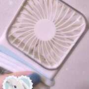 ヒメ日記 2025/07/27 15:05 投稿 花野いろは コウテイ