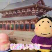 ヒメ日記 2025/08/13 15:15 投稿 花野いろは コウテイ