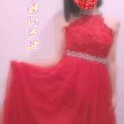 ヒメ日記 2025/08/16 09:15 投稿 花野いろは コウテイ