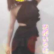 ヒメ日記 2025/08/17 09:05 投稿 花野いろは コウテイ