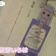 ヒメ日記 2025/08/18 15:15 投稿 花野いろは コウテイ