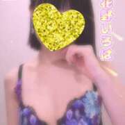 ヒメ日記 2025/08/24 15:05 投稿 花野いろは コウテイ