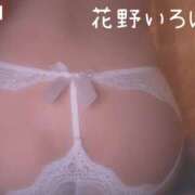 ヒメ日記 2025/08/25 20:15 投稿 花野いろは コウテイ