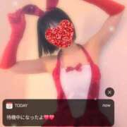 ヒメ日記 2025/08/25 20:55 投稿 花野いろは コウテイ