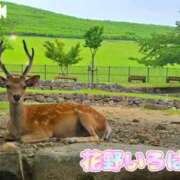 ヒメ日記 2025/08/26 15:05 投稿 花野いろは コウテイ