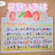 ヒメ日記 2025/08/27 09:13 投稿 花野いろは コウテイ