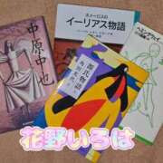 ヒメ日記 2025/08/27 11:05 投稿 花野いろは コウテイ
